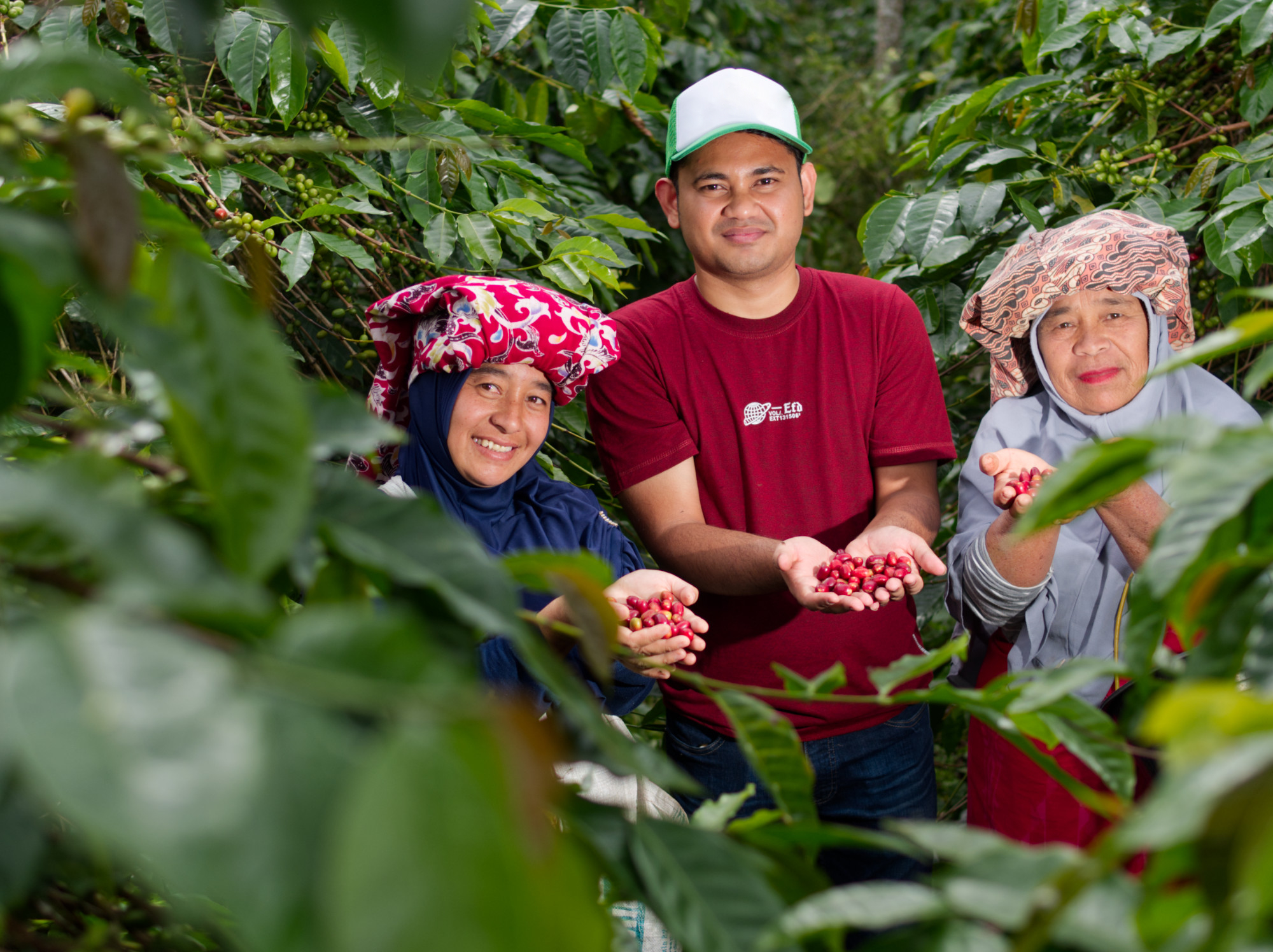 05. Coffee is one out of seven agricultural commodities that contribute to deforestation