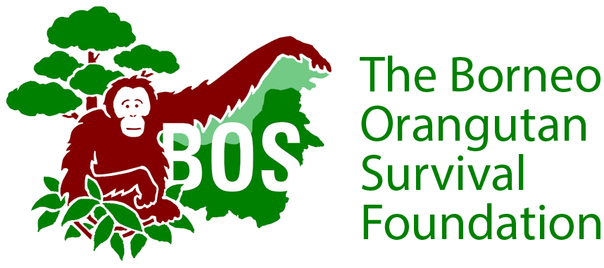 BOS Logo