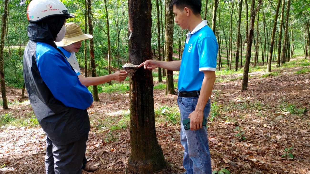 02.-Huy-Anh-Rubber-Co.-Ltd.-strengthens-its-position-in-the-global-rubber-industry-by-achieving-EUDR-compliance