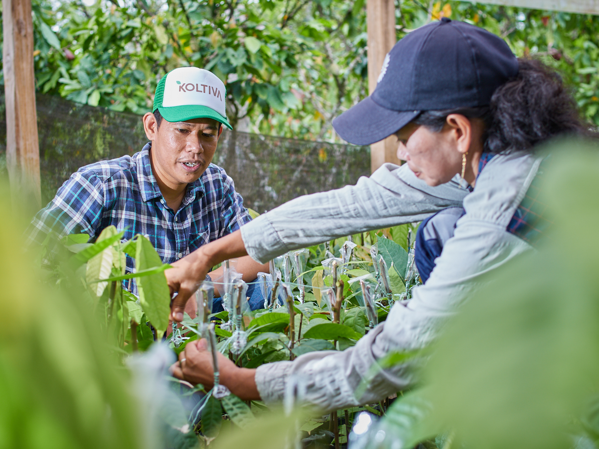 06. KoltiSkills, provide solutions for businesses needing field staff  in implementing sustainable sourcing