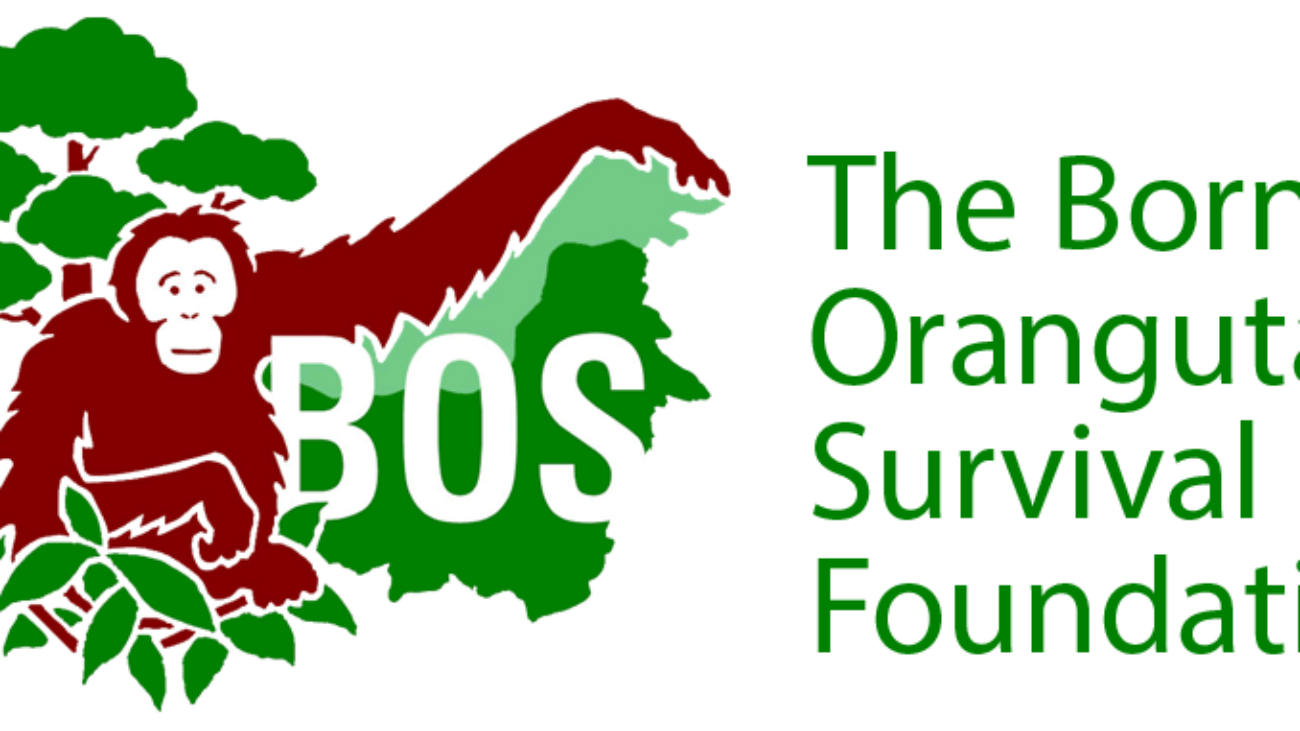 Copy-of-BOSF_Logo